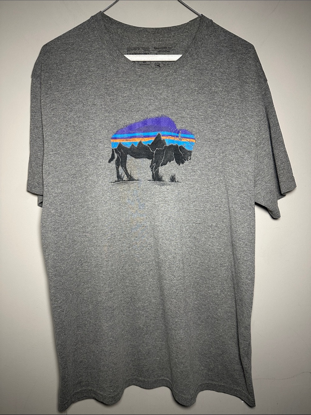 Patagonia Grey Short-Sleeve Tee with Colorful Buffalo recycled Graphic